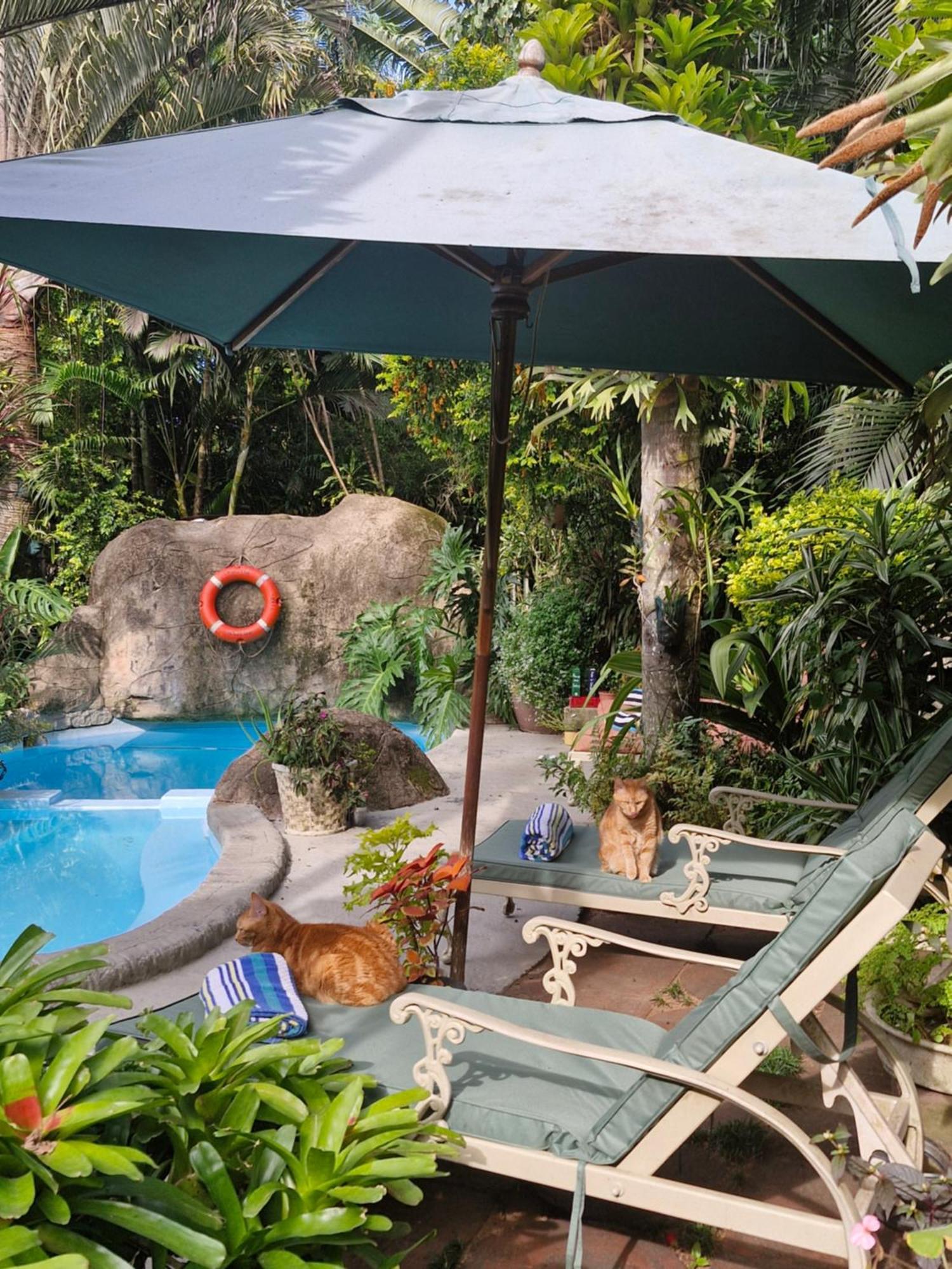African Ambience Guest House Saint Lucia Estuary Extérieur photo