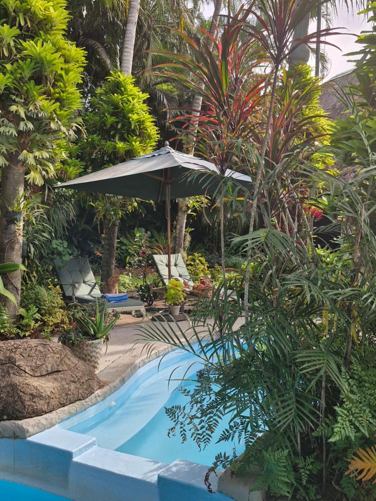 African Ambience Guest House Saint Lucia Estuary Extérieur photo