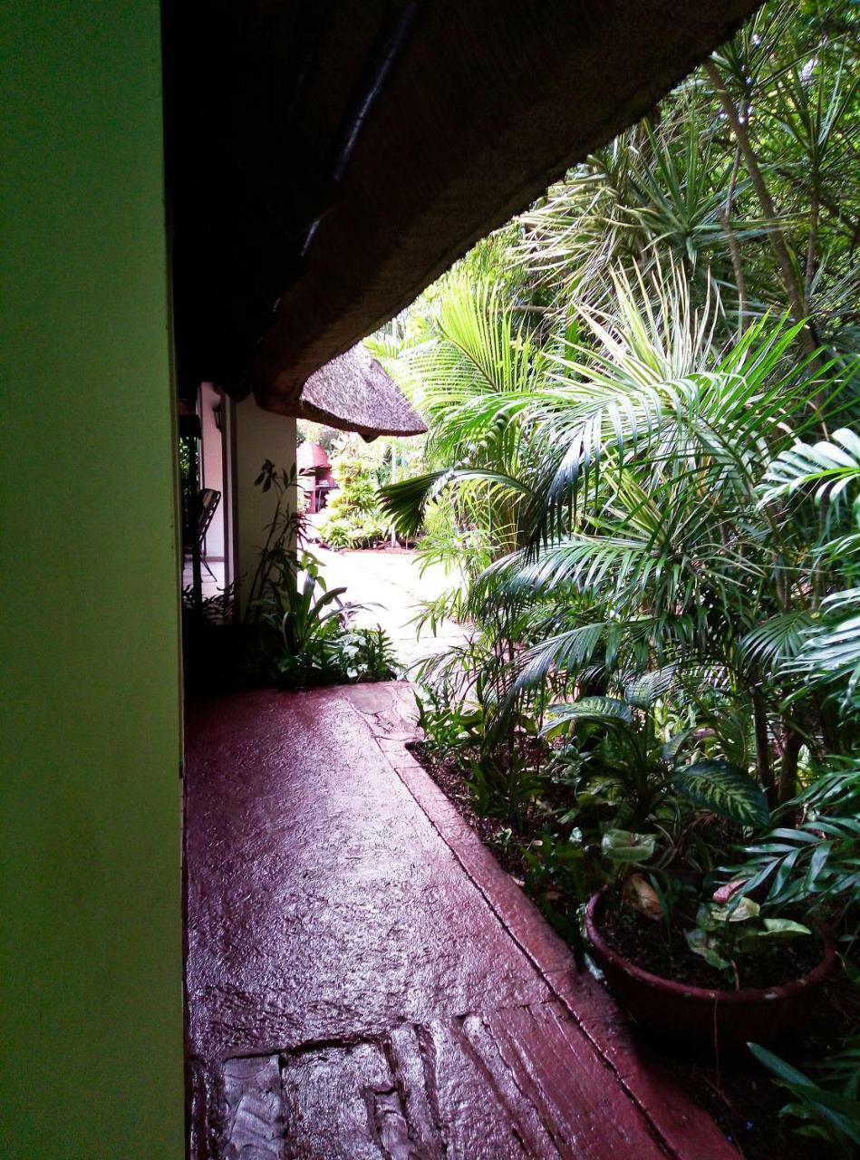 African Ambience Guest House Saint Lucia Estuary Extérieur photo